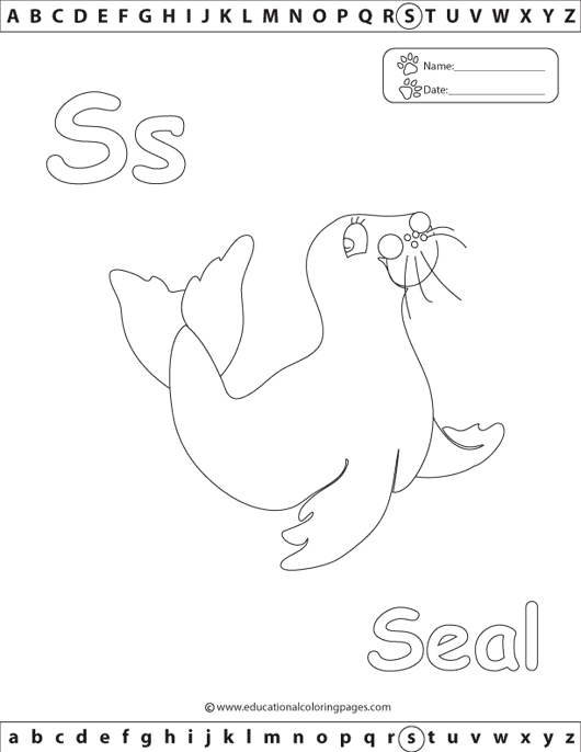 seal coloring, zoo animal coloring, letter s coloring