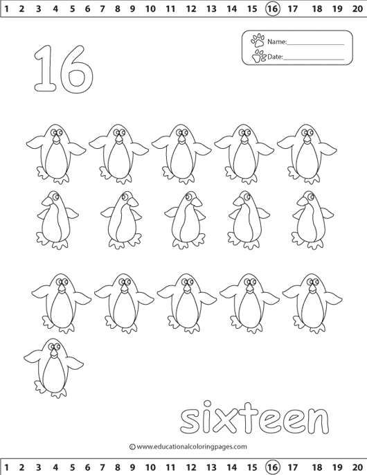 no 16  coloring, penguin coloring