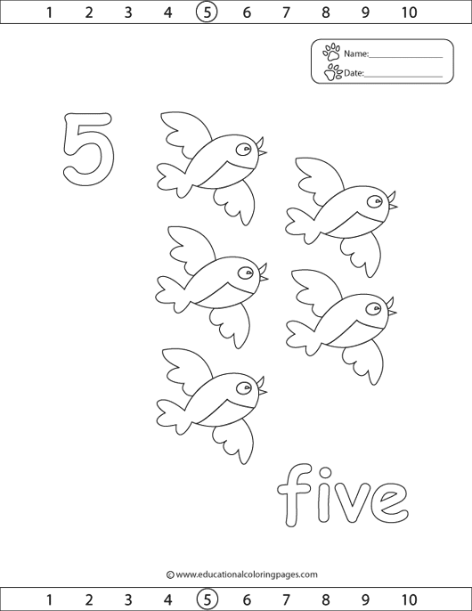 no 5 coloring, birds coloring